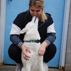 Meet your Posher, Hannah